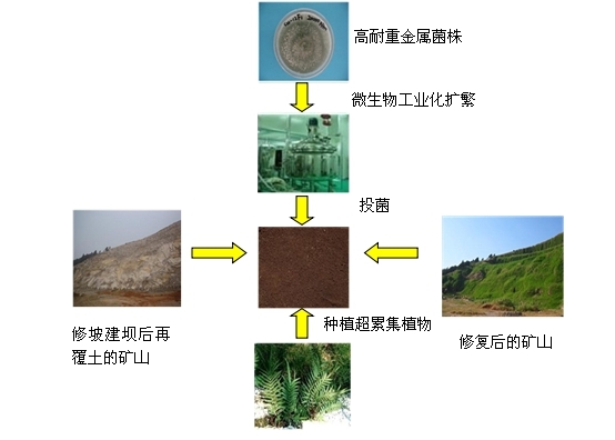 鼎天国际 f8c35